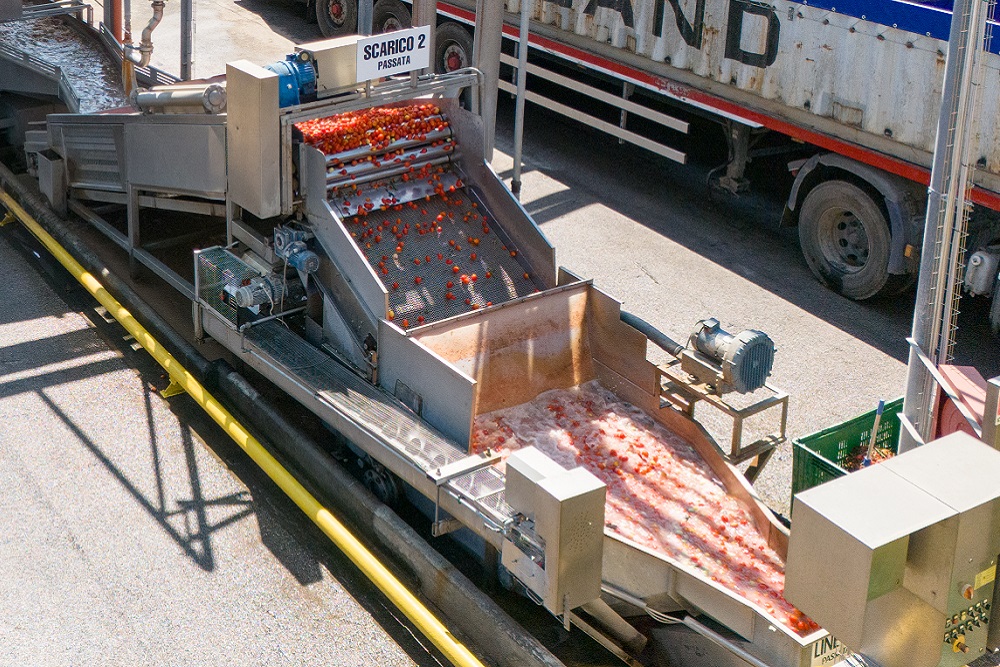 trasformazione alimentare trasformazione alimentare